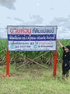 ด่วน ขายที่ดินแม่สอด-ห้วยกระโหลก จำนวน 42 ไร่ (ที่ดินมีโฉนด นส. 4 ครุฑแดงแปลงเดียวในย่านนี้)